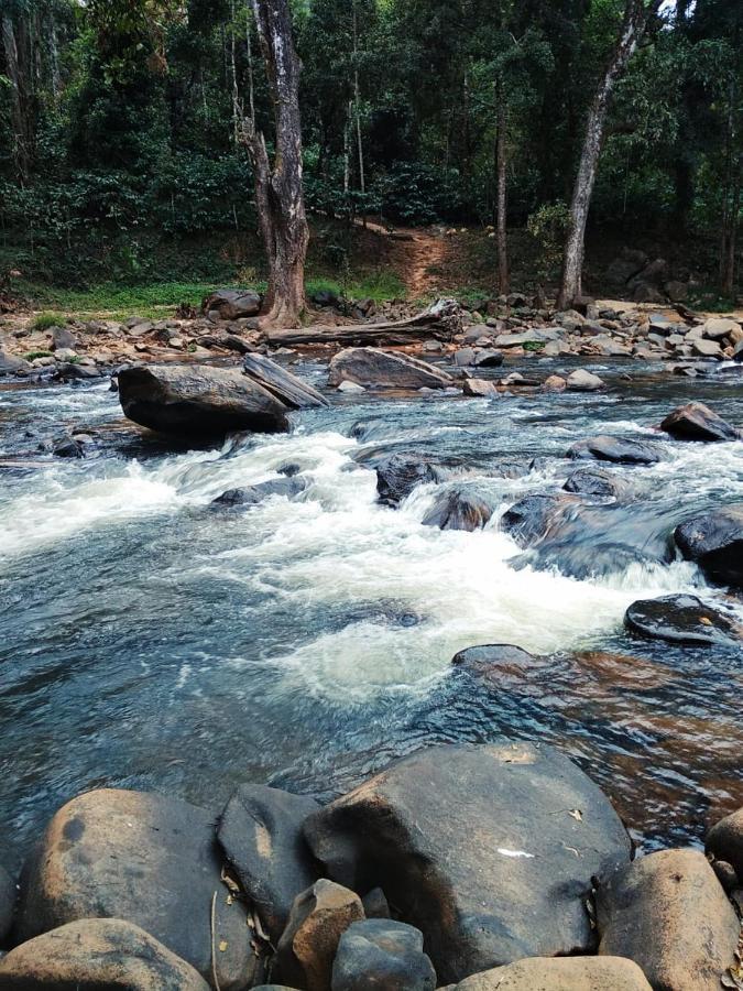 Coorg River Rock Camping Madikeri Exterior photo