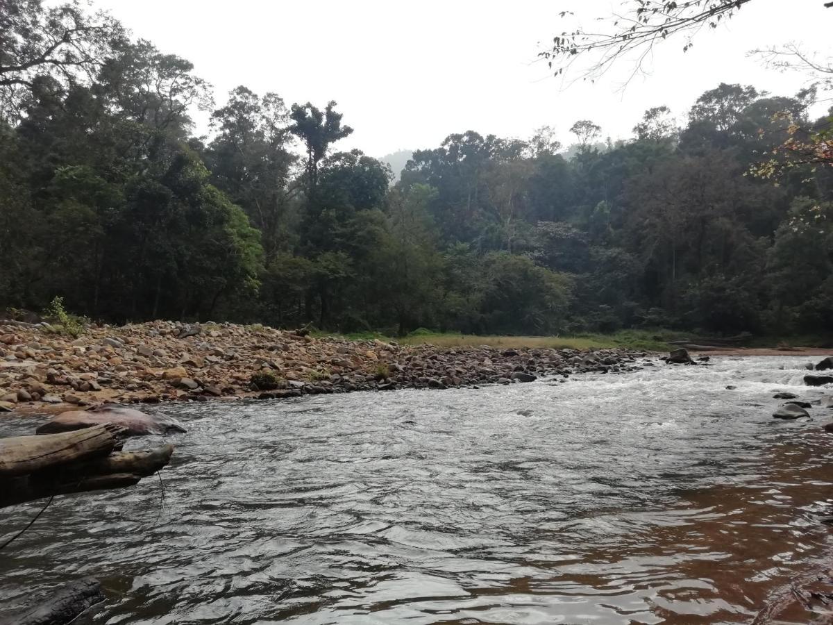 Coorg River Rock Camping Madikeri Exterior photo